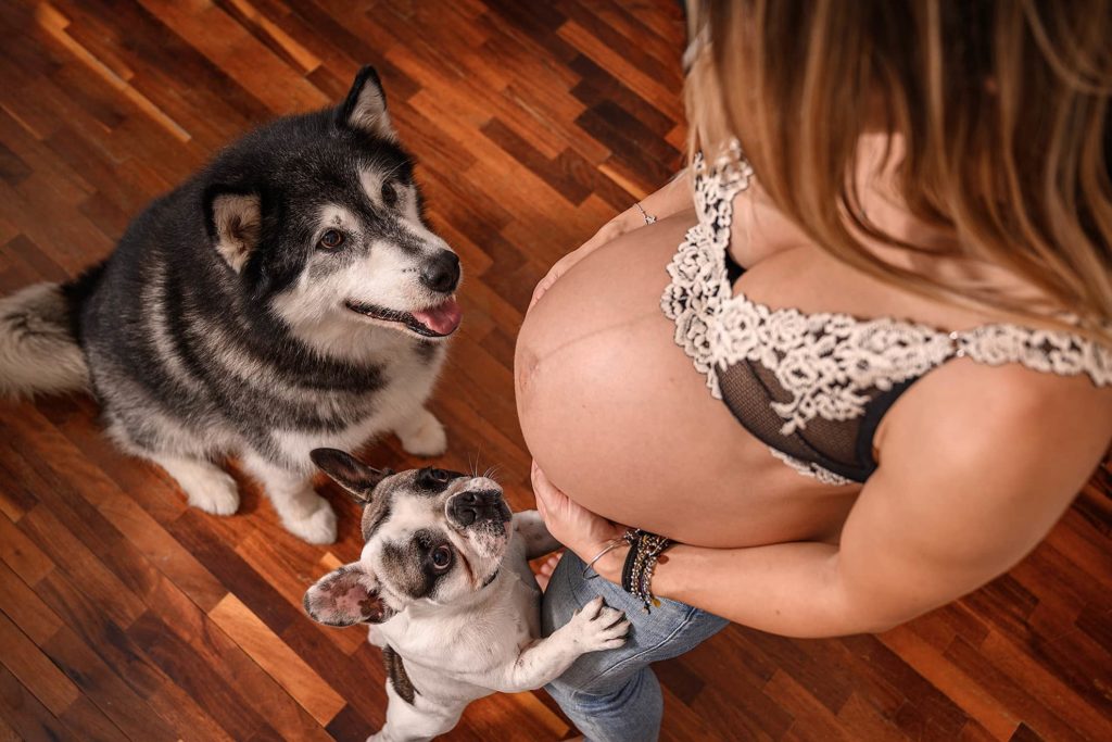 ragazza-incinta-due-cani-guardano-pancia