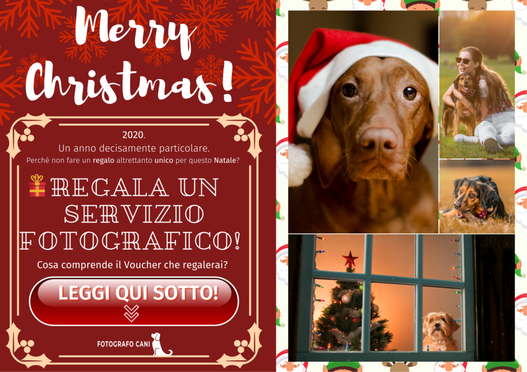 Voucher natalizio fotografo cani con immagini e scritte natale 2020