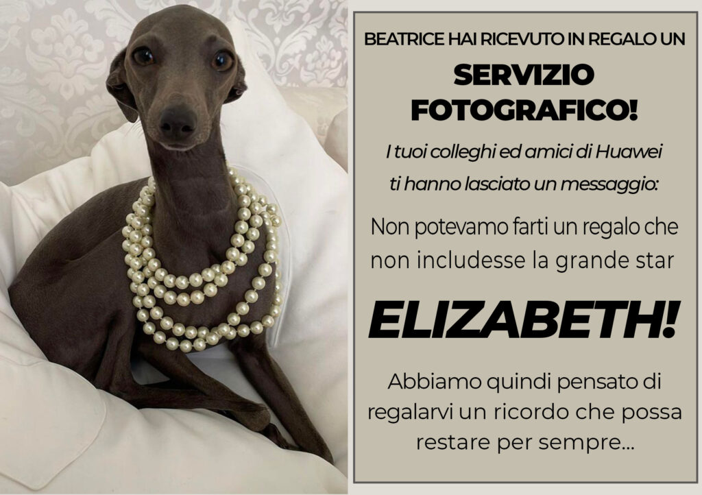 buono regalo beatrice fotografo cani milano